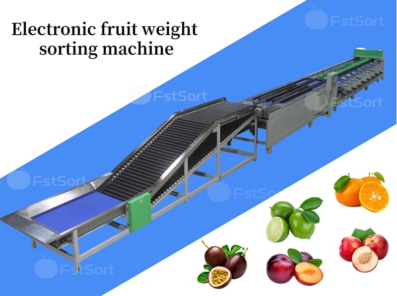 images/1673338441253fstsort passion fruit sorting grading line.jpg